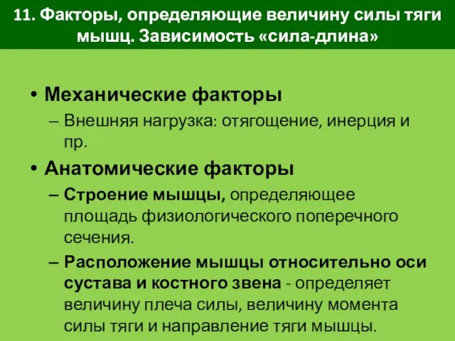 11. Факторы, определяющие величину силы тяги мышц. Зависимость «сила-длина» Механические факторы