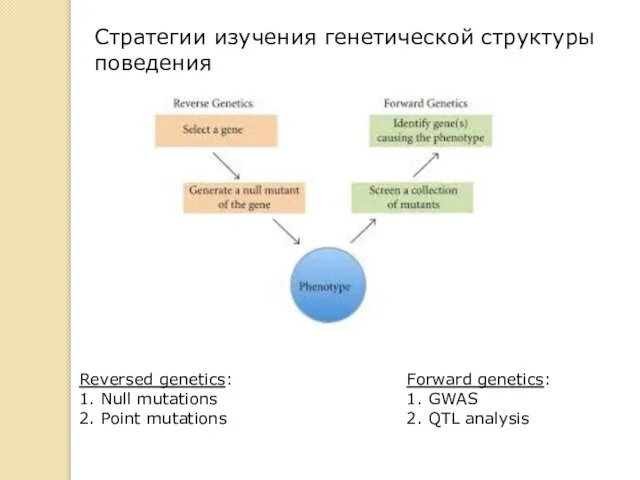 Forward genetics: 1. GWAS 2. QTL analysis Reversed genetics: 1. Null