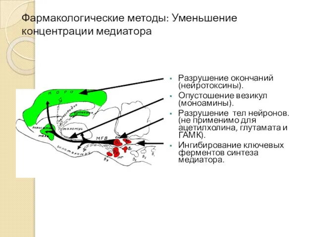 Фармакологические методы: Уменьшение концентрации медиатора Разрушение окончаний (нейротоксины). Опустошение везикул (моноамины).