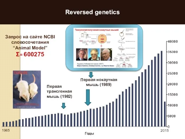 Reversed genetics Запрос на сайте NCBI словосочетания “Animal Model” Ʃ= 600275