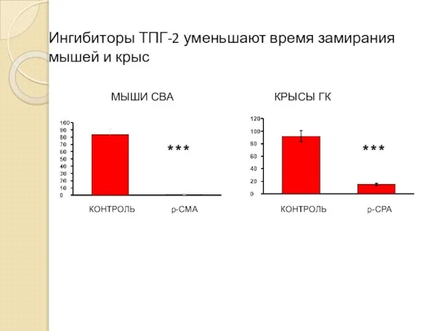 Ингибиторы ТПГ-2 уменьшают время замирания мышей и крыс МЫШИ CBA КРЫСЫ
