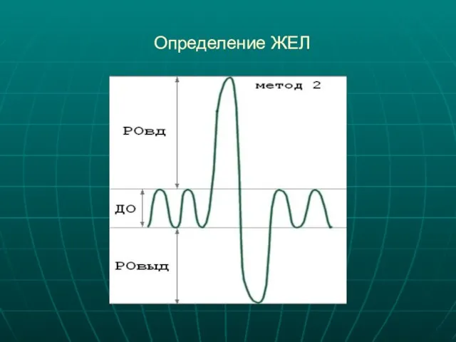 Определение ЖЕЛ