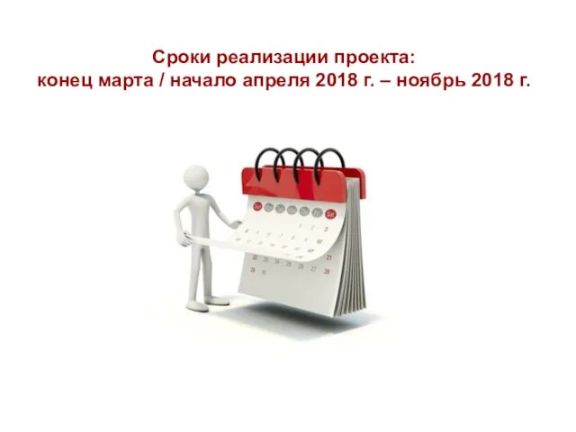 Сроки реализации проекта: конец марта / начало апреля 2018 г. – ноябрь 2018 г.