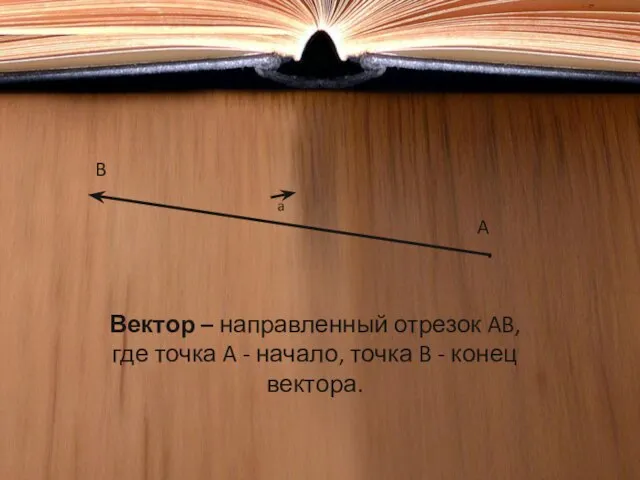 Вектор – направленный отрезок AB, где точка A - начало, точка