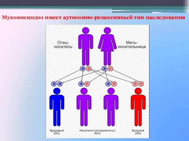 Муковисцидоз имеет аутосомно-рецессивный тип наследования