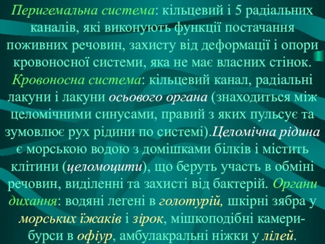 Перигемальна система: кільцевий і 5 радіальних каналів, які виконують функції постачання