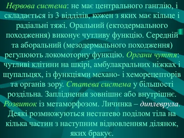 Нервова система: не має центрального ганглію, і складається із 3 відділів,