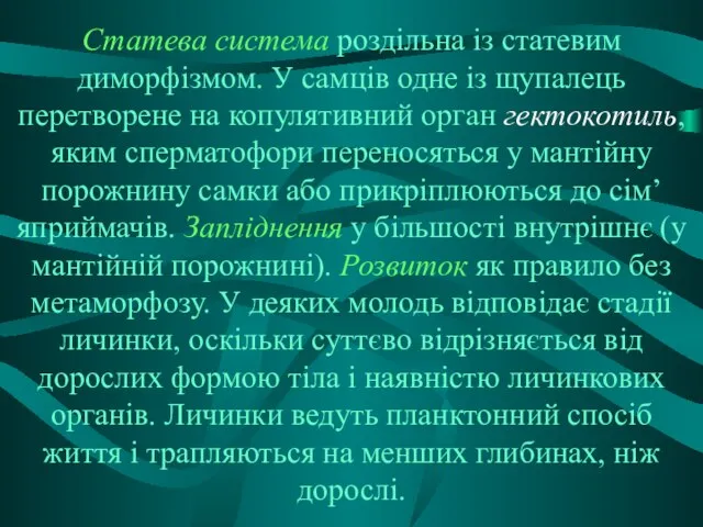 Статева система роздільна із статевим диморфізмом. У самців одне із щупалець