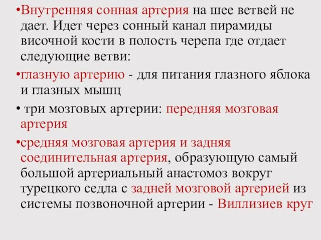 Внутренняя сонная артерия на шее ветвей не дает. Идет через сонный