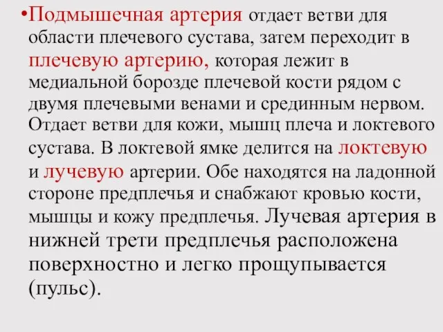 Подмышечная артерия отдает ветви для области плечевого сустава, затем переходит в