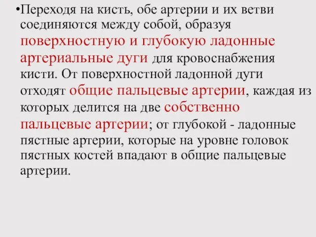 Переходя на кисть, обе артерии и их ветви соединяются между собой,