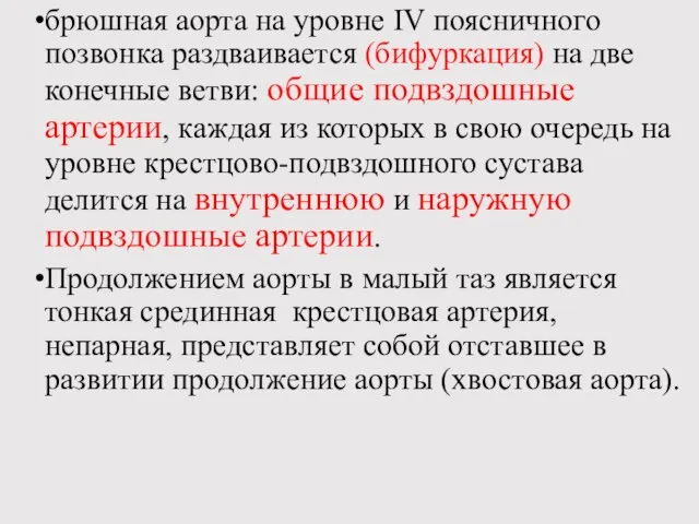 брюшная аорта на уровне IV поясничного позвонка раздваивается (бифуркация) на две