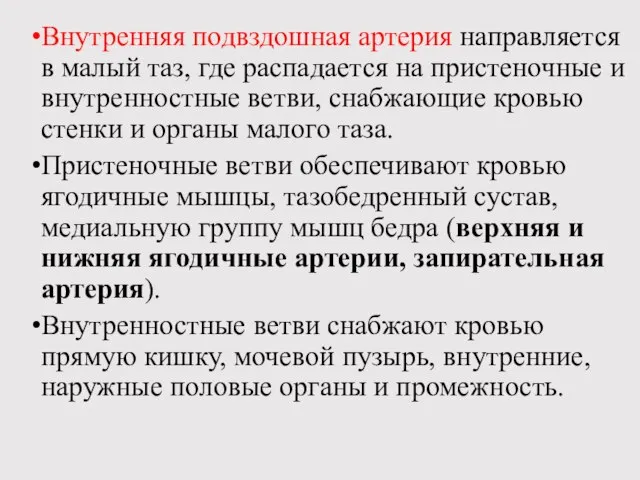 Внутренняя подвздошная артерия направляется в малый таз, где распадается на пристеночные