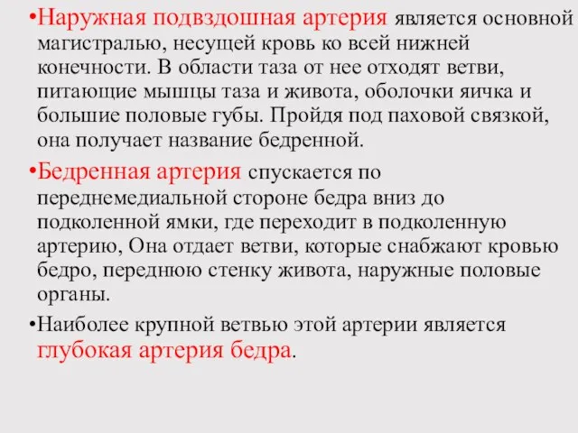 Наружная подвздошная артерия является основной магистралью, несущей кровь ко всей нижней