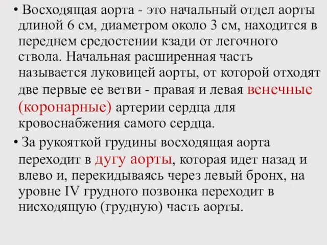 Восходящая аорта - это начальный отдел аорты длиной 6 см, диаметром