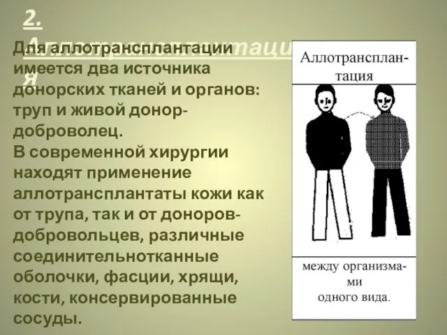 2.Аллотрансплантация Для аллотрансплантации имеется два источника донорских тканей и органов: труп