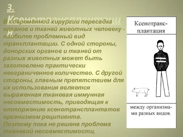 3.Ксенотрансплантация В современной хирургии пересадка органов и тканей животных человеку -