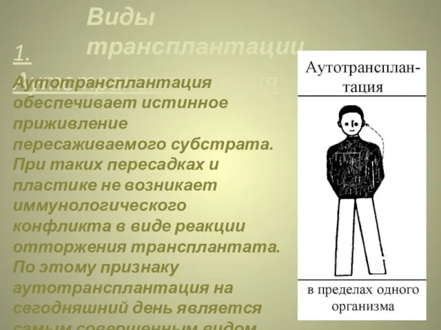 Виды трансплантации 1. Аутотрансплантация Аутотрансплантация обеспечивает истинное приживление пересаживаемого субстрата. При