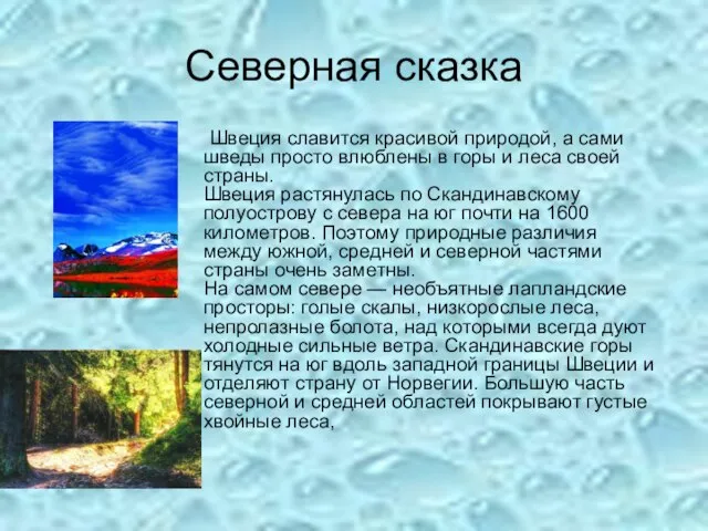 Cеверная сказка Швеция славится красивой природой, а сами шведы просто влюблены