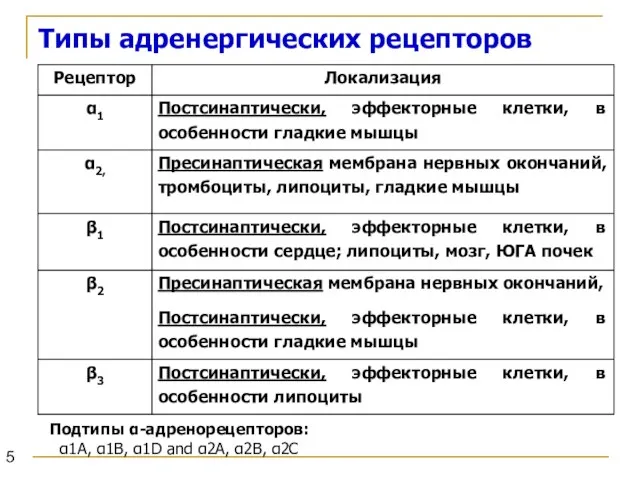 Типы адренергических рецепторов Подтипы α-адренорецепторов: α1A, α1B, α1D and α2A, α2B, α2C