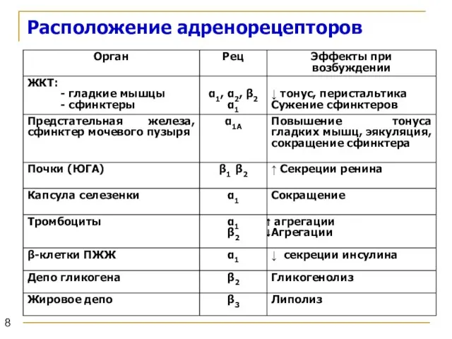 Расположение адренорецепторов