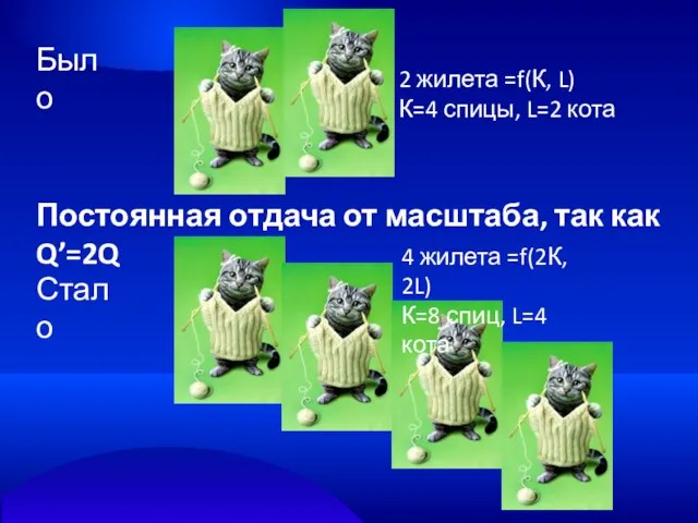 Было Стало 2 жилета =f(К, L) К=4 спицы, L=2 кота 4