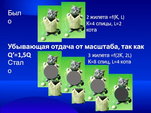 Было Стало 2 жилета =f(К, L) К=4 спицы, L=2 кота 3