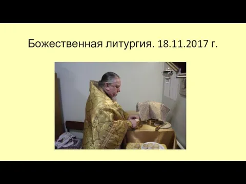 Божественная литургия. 18.11.2017 г.