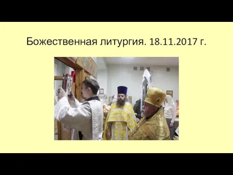 Божественная литургия. 18.11.2017 г.