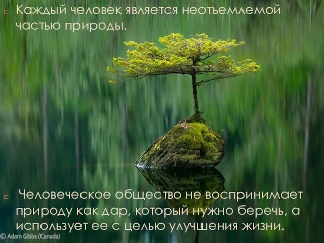 Каждый человек является неотъемлемой частью природы. Человеческое общество не воспринимает природу