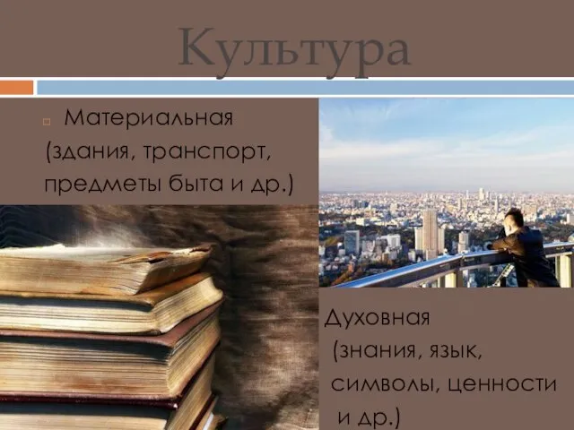 Культура Материальная (здания, транспорт, предметы быта и др.) Духовная (знания, язык, символы, ценности и др.)