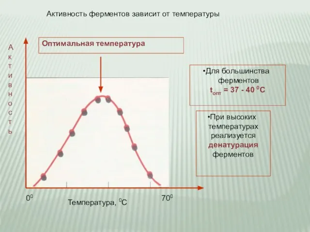 Оптимальная температура 00 700 Активность ферментов зависит от температуры А к