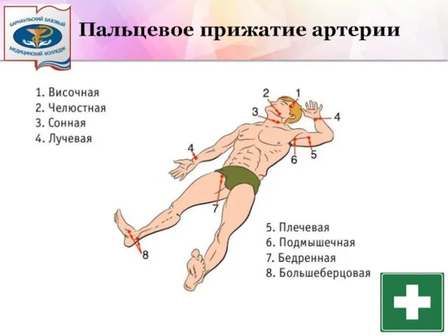 Пальцевое прижатие артерии