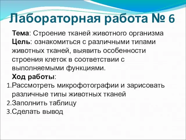 Лабораторная работа № 6 Тема: Строение тканей животного организма Цель: ознакомиться