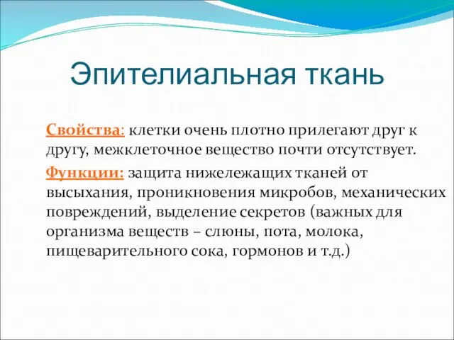 Эпителиальная ткань Свойства: клетки очень плотно прилегают друг к другу, межклеточное