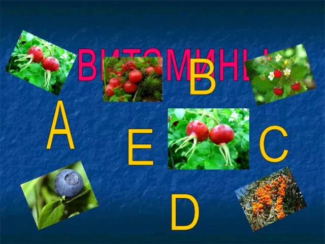 витамины A B C D E