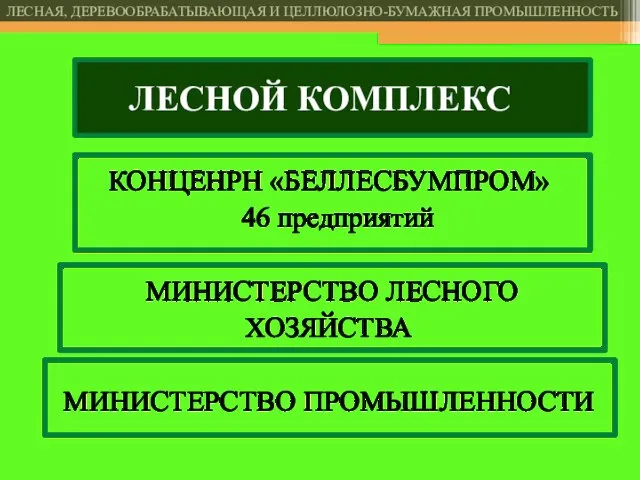 ЛЕСНОЙ КОМПЛЕКС КОНЦЕНРН «БЕЛЛЕСБУМПРОМ» 46 предприятий МИНИСТЕРСТВО ЛЕСНОГО ХОЗЯЙСТВА МИНИСТЕРСТВО ПРОМЫШЛЕННОСТИ ЛЕСНАЯ, ДЕРЕВООБРАБАТЫВАЮЩАЯ И ЦЕЛЛЮЛОЗНО-БУМАЖНАЯ ПРОМЫШЛЕННОСТЬ