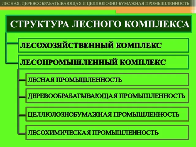 ЛЕСОПРОМЫШЛЕННЫЙ КОМПЛЕКС ЛЕСОХОЗЯЙСТВЕННЫЙ КОМПЛЕКС СТРУКТУРА ЛЕСНОГО КОМПЛЕКСА ЛЕСНАЯ ПРОМЫШЛЕННОСТЬ ДЕРЕВООБРАБАТЫВАЮЩАЯ ПРОМЫШЛЕННОСТЬ