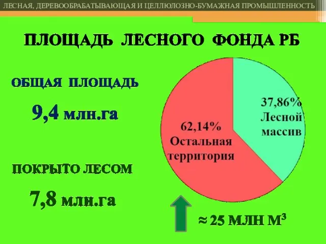 ПЛОЩАДЬ ЛЕСНОГО ФОНДА РБ ОБЩАЯ ПЛОЩАДЬ 9,4 млн.га ПОКРЫТО ЛЕСОМ 7,8