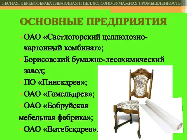 ОАО «Светлогорский целлюлозно-картонный комбинат»; Борисовский бумажно-лесохимический завод; ПО «Пинскдрев»; ОАО «Гомельдрев»;