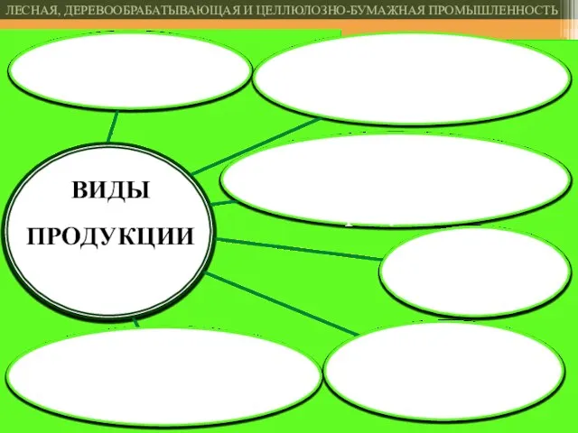 ВИДЫ ПРОДУКЦИИ ЛЕСНАЯ, ДЕРЕВООБРАБАТЫВАЮЩАЯ И ЦЕЛЛЮЛОЗНО-БУМАЖНАЯ ПРОМЫШЛЕННОСТЬ