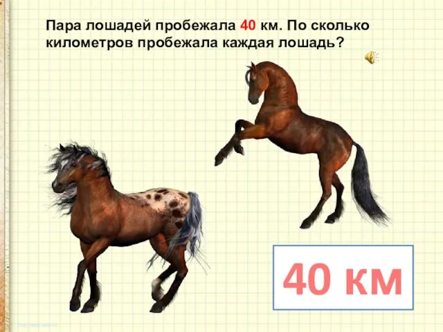 Пара лошадей пробежала 40 км. По сколько километров пробежала каждая лошадь? 40 км