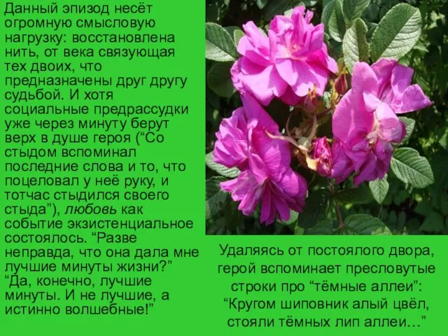 Удаляясь от постоялого двора, герой вспоминает пресловутые строки про “тёмные аллеи”: