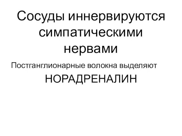 Сосуды иннервируются симпатическими нервами Постганглионарные волокна выделяют НОРАДРЕНАЛИН