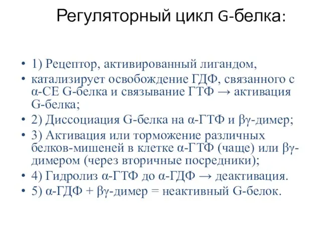 Регуляторный цикл G-белка: 1) Рецептор, активированный лигандом, катализирует освобождение ГДФ, связанного