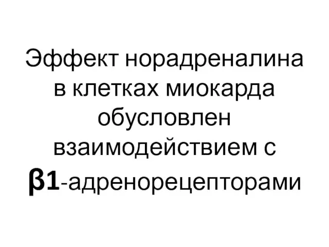 Эффект норадреналина в клетках миокарда обусловлен взаимодействием с β1-адренорецепторами