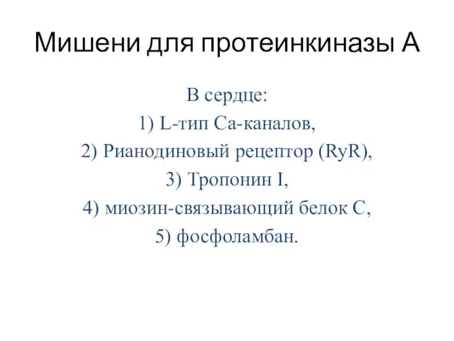 В сердце: 1) L-тип Ca-каналов, 2) Рианодиновый рецептор (RyR), 3) Тропонин