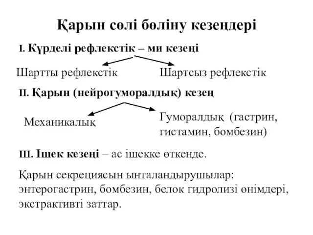 Қарын сөлі бөліну кезеңдері I. Күрделі рефлекстік – ми кезеңі III.