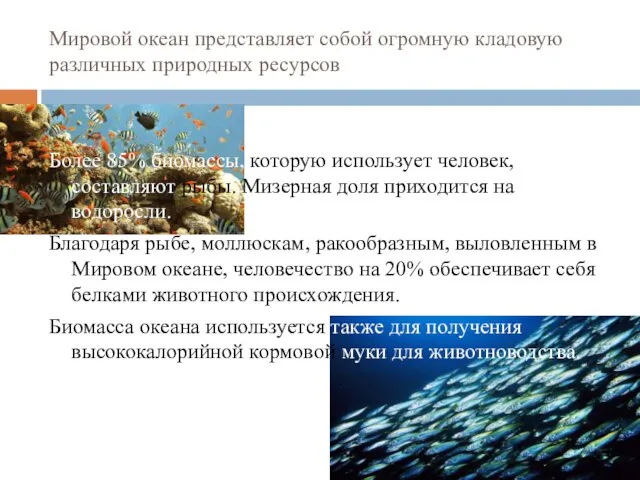 Мировой океан представляет собой огромную кладовую различных природных ресурсов Более 85%