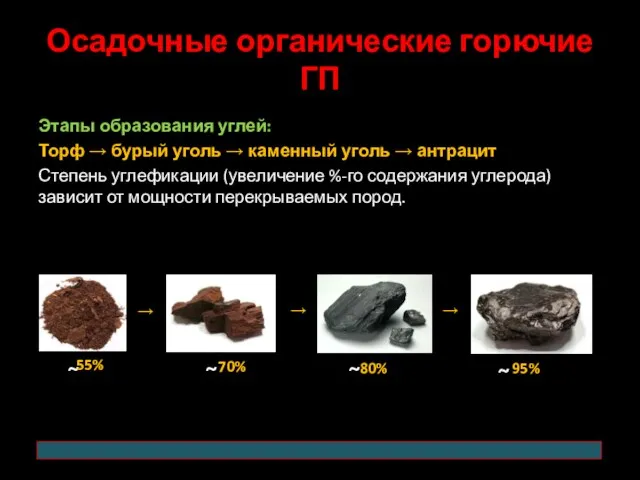 Осадочные органические горючие ГП Этапы образования углей: Торф → бурый уголь